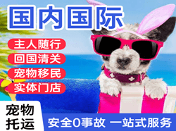 呼和浩特白塔机场邮寄国际宠物托运 【国